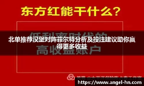 北单推荐汉堡对阵菲尔特分析及投注建议助你赢得更多收益